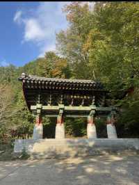 📍 양산 속 비밀 정원, 홍룡폭포에서 여름 한 모금