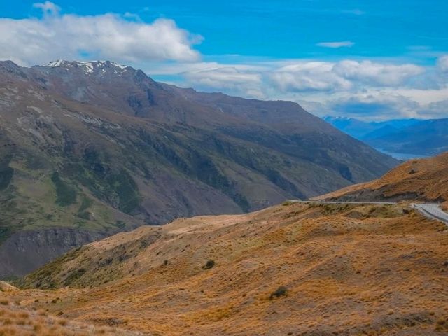 湖に佇む孤高のシンボル！「That Wanaka Tree」の神秘的な美しさ