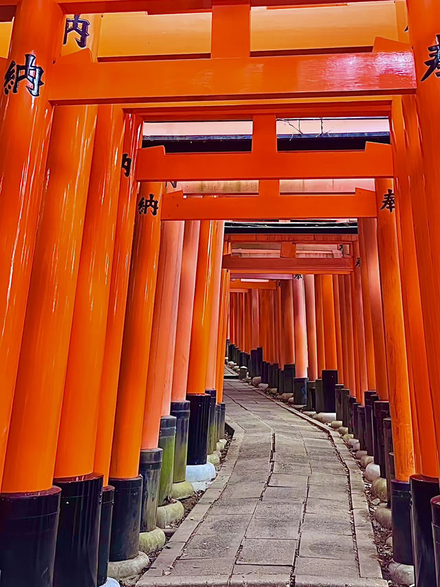 โอซาก้า🇯🇵