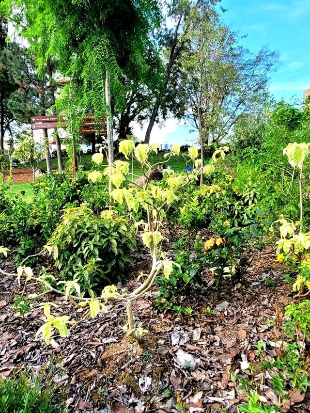 An idyllic weekend at The Garden of Abundance