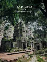 Three Temples. One Epic Journey. Angkor Awaits.