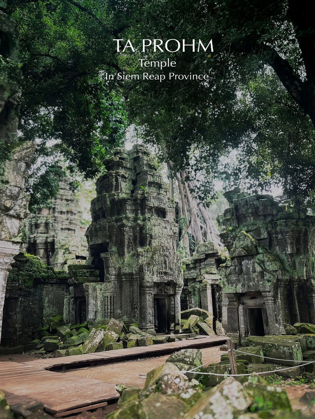 Three Temples. One Epic Journey. Angkor Awaits.
