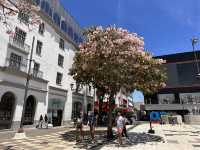 【Plaza de la Cultura｜コスタリカ・サンホセの文化広場】