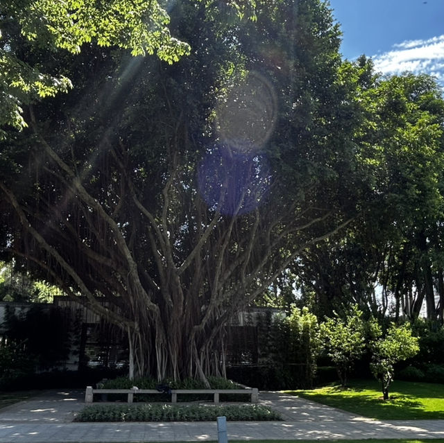 Bailuzhou East Park: Xiamen’s Chill Zone (With 100% Less Tourists)"** 🌿🦢  