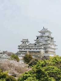Architectural Masterpiece