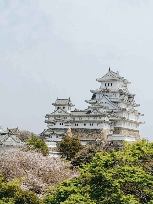 Architectural Masterpiece