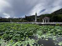 Nanputuo Temple’s Water Lily Garden: Where Buddha Meets Blooms (And Your Soul Finds Zen)"** 🌸🏯  