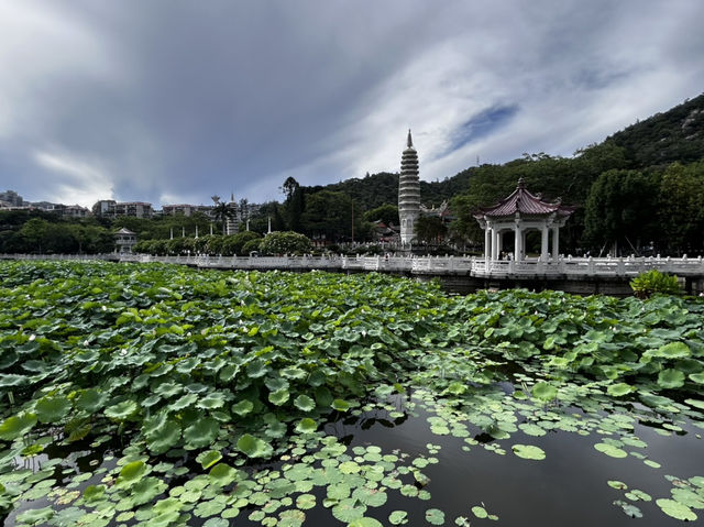 Nanputuo Temple’s Water Lily Garden: Where Buddha Meets Blooms (And Your Soul Finds Zen)"** 🌸🏯  