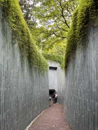 Fort Canning Park สิงคโปร์ 🌿 เดินเล่นชิลๆ ถ่ายรูป