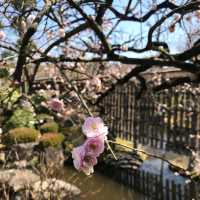 姬路-好古園（建議可以買姬路城套票1050円）