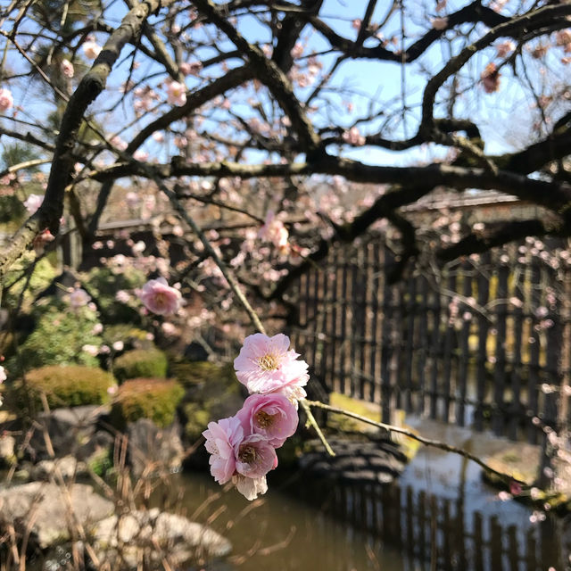 姬路-好古園（建議可以買姬路城套票1050円）