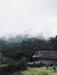 🏡 DOOLAYLAY - บ้านแห่งความคิดถึง 💓