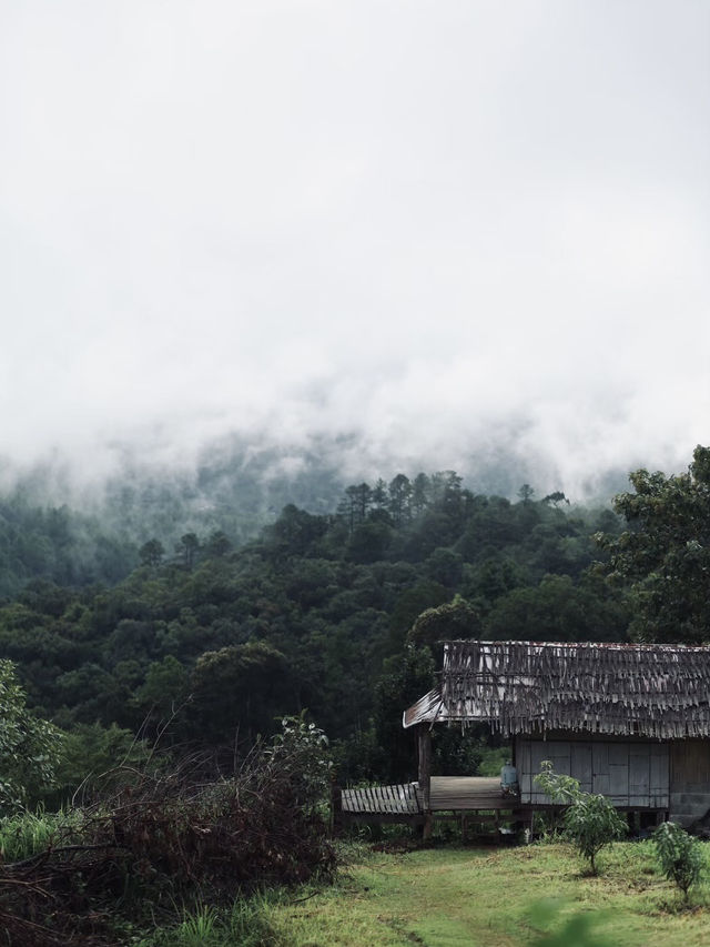 🏡 DOOLAYLAY - บ้านแห่งความคิดถึง 💓