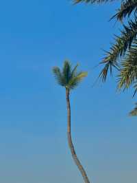มุมถ่ายรูปพัทยา ฟีลต่างประเทศ 🌊🌴