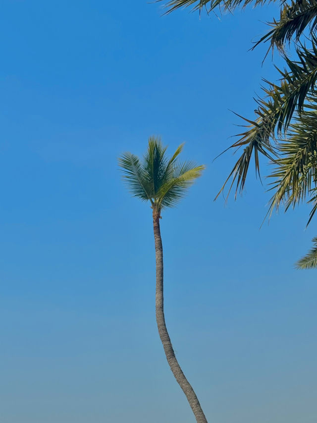 มุมถ่ายรูปพัทยา ฟีลต่างประเทศ 🌊🌴