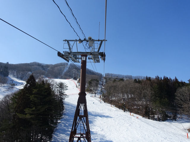 ❄️ Snowy Peaks & Scenic Treats: A Family Day Out at Hakuba Mountain Harbor