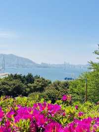 Uam-dong Urban Forest, Busan: A Tranquil Green Escape with Harbor Views