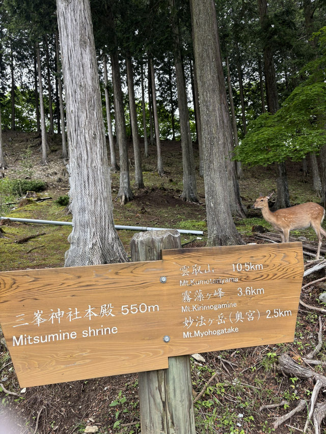 【埼玉⛰️】関東最強のパワースポット三峯神社で登山🧗