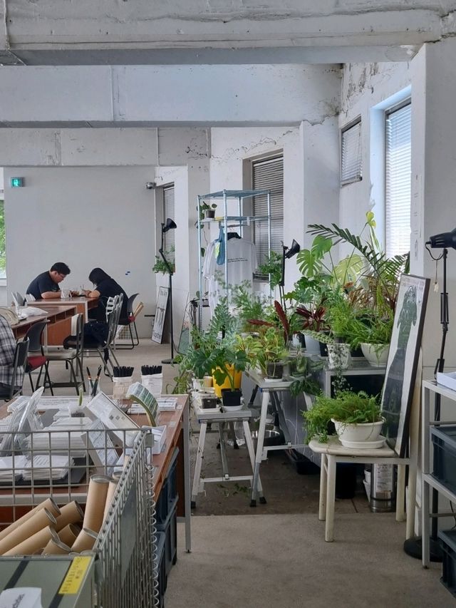 🌿 전주에서 평화로운 카페를 찾고 싶다면 "평화와 평화"