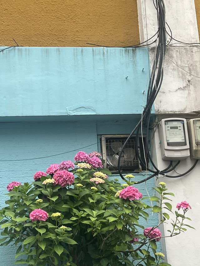 Busan and summer flowers
