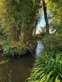Fondation Monet, Giverny – Stepping Into an Impressionist Masterpiece