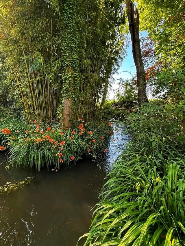 Fondation Monet, Giverny – Stepping Into an Impressionist Masterpiece