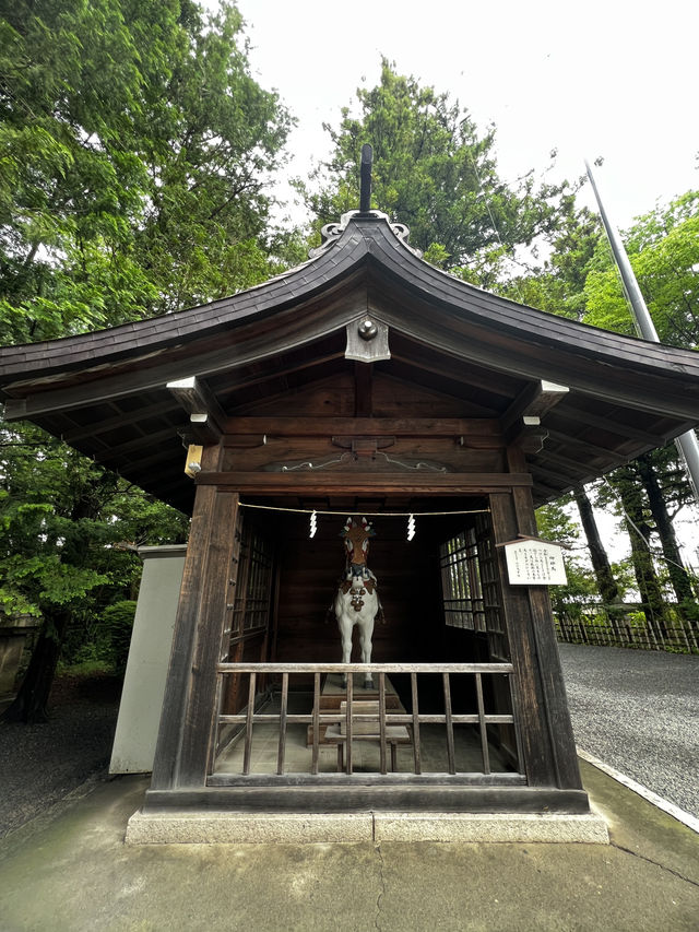 「自然の中で、心が静かに整っていく。」そんな不思議な体験、最近いつしましたか？