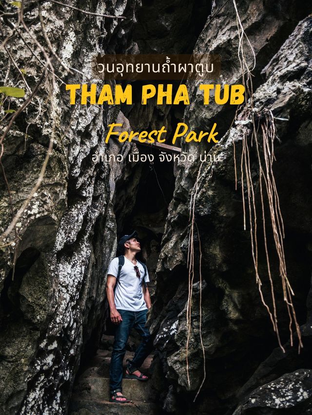 เที่ยวน่าน วนอุทยานถ้ำผาตูบ ธรรมชาติใกล้เมือง