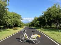 台東森林公園