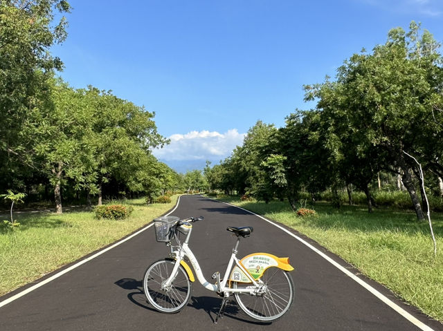 台東森林公園