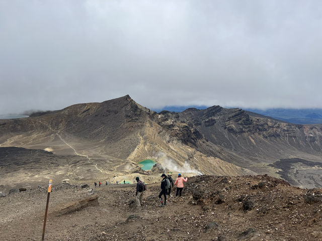 紐西蘭旅遊景點—🩵 Blue Lake 一圈剛剛好：在湖光山色裡呼吸森林