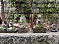 Nyoirinji Temple หรือวัดกบ🐸