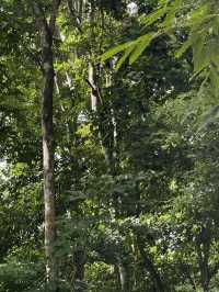 Huai Kha Kang Wildlife Sanctuary