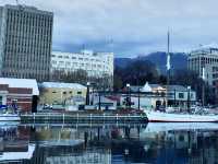 Seagulls, Seafood & the Sea: A Twilight Walk at Constitution Dock