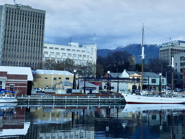 Seagulls, Seafood & the Sea: A Twilight Walk at Constitution Dock
