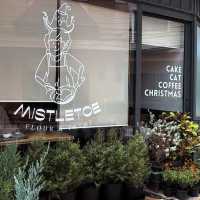 Mistletoe Flour Thyme – Pattaya  