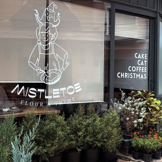 Mistletoe Flour Thyme – Pattaya  