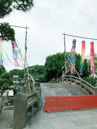 【鎌倉　もうすぐ開花する鶴岡八幡宮のハス池🪷と快適なカフェ】