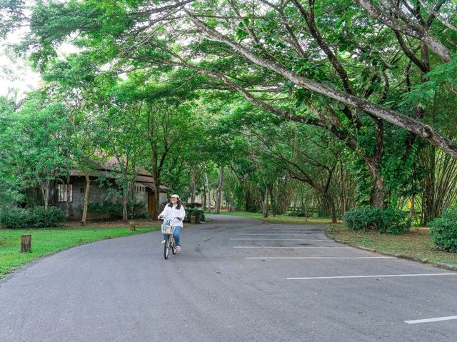 สัมผัสธรรมชาติอย่างใกล้ชิด 🌳 Borsaen Villa