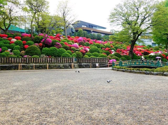 Nezu Shrine