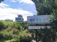 제주 포토존 많은 곳