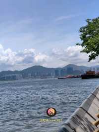 เดินชิลล์ที่ย่าน Kennedy Town