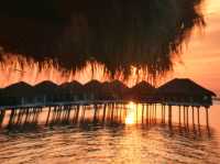 Avani Sepang Goldcoast 