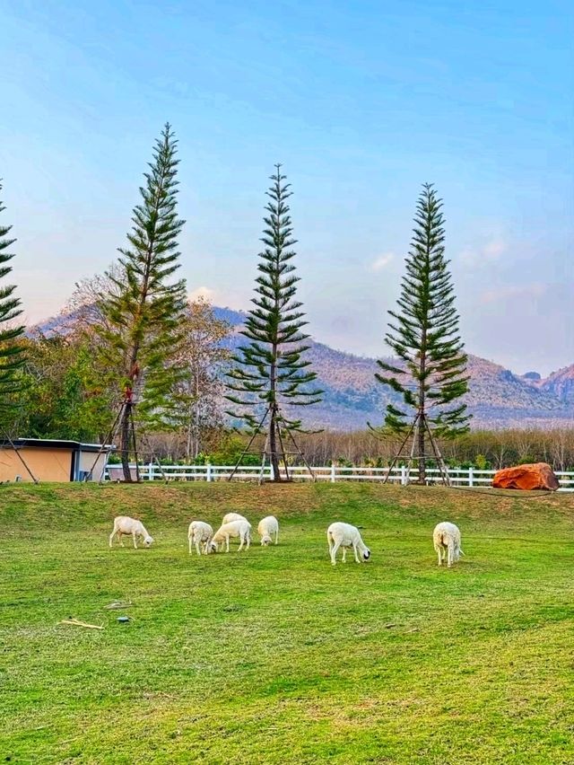 ที่พักบรรยากาศดี ผาม่านคีรีหมอก