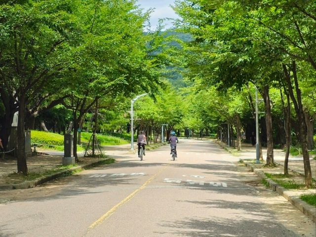 인천대공원 즐길거리