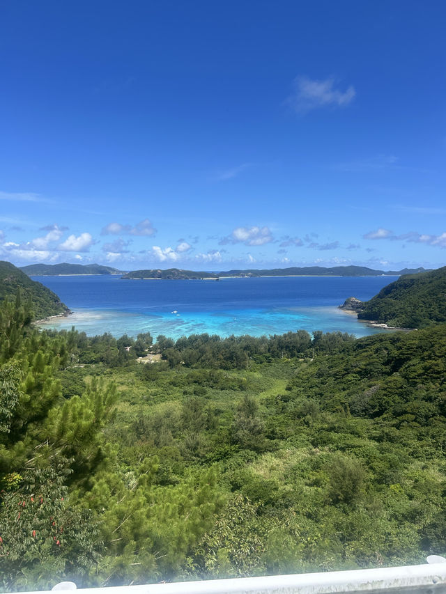 世界トップ100の海
