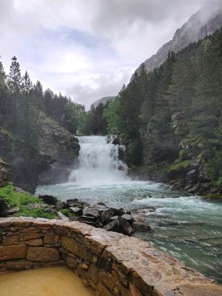 馬尾瀑布步道：瀑布與森林的氛圍