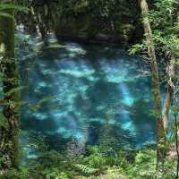 【菊池渓谷】清流と緑に包まれる、熊本の癒しの森🌲💧