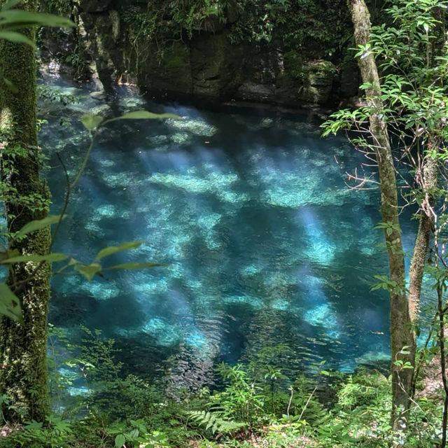 【菊池渓谷】清流と緑に包まれる、熊本の癒しの森🌲💧