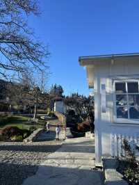 ☕️🥯 Curbside Coffee & Bagel – Queenstown